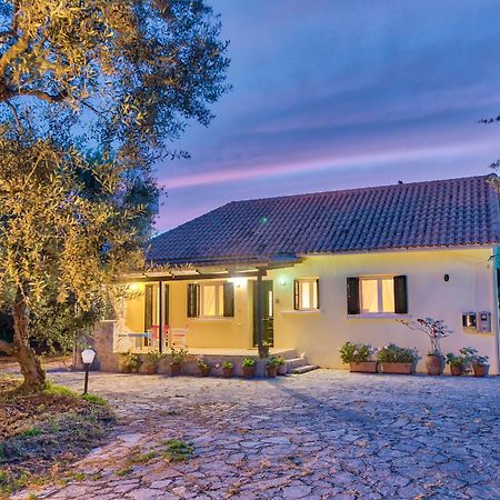 טרגקי Olivegrove Villa - Nestled In Olive Trees With Private Pool, By Zantewize מראה חיצוני תמונה