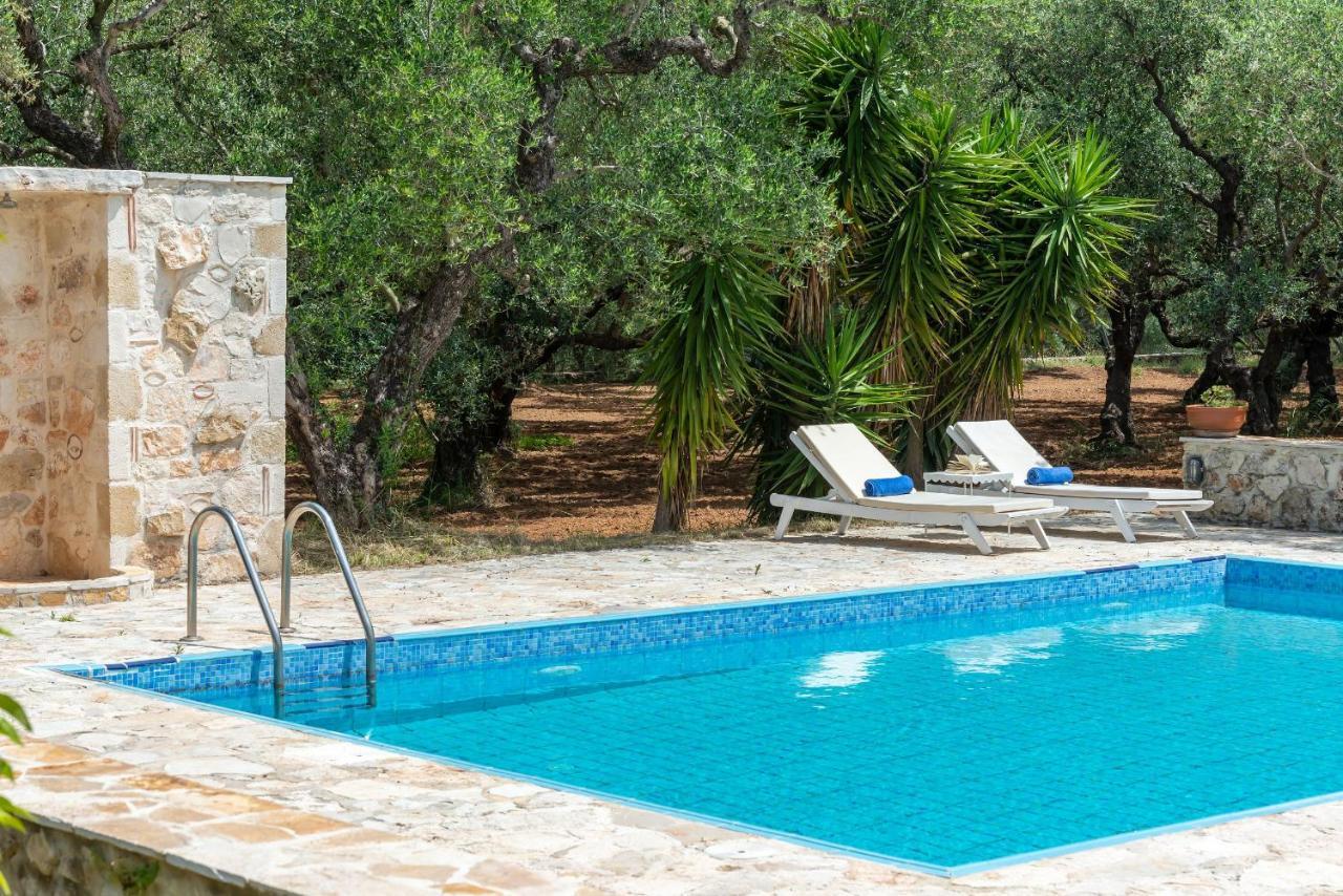 טרגקי Olivegrove Villa - Nestled In Olive Trees With Private Pool, By Zantewize מראה חיצוני תמונה