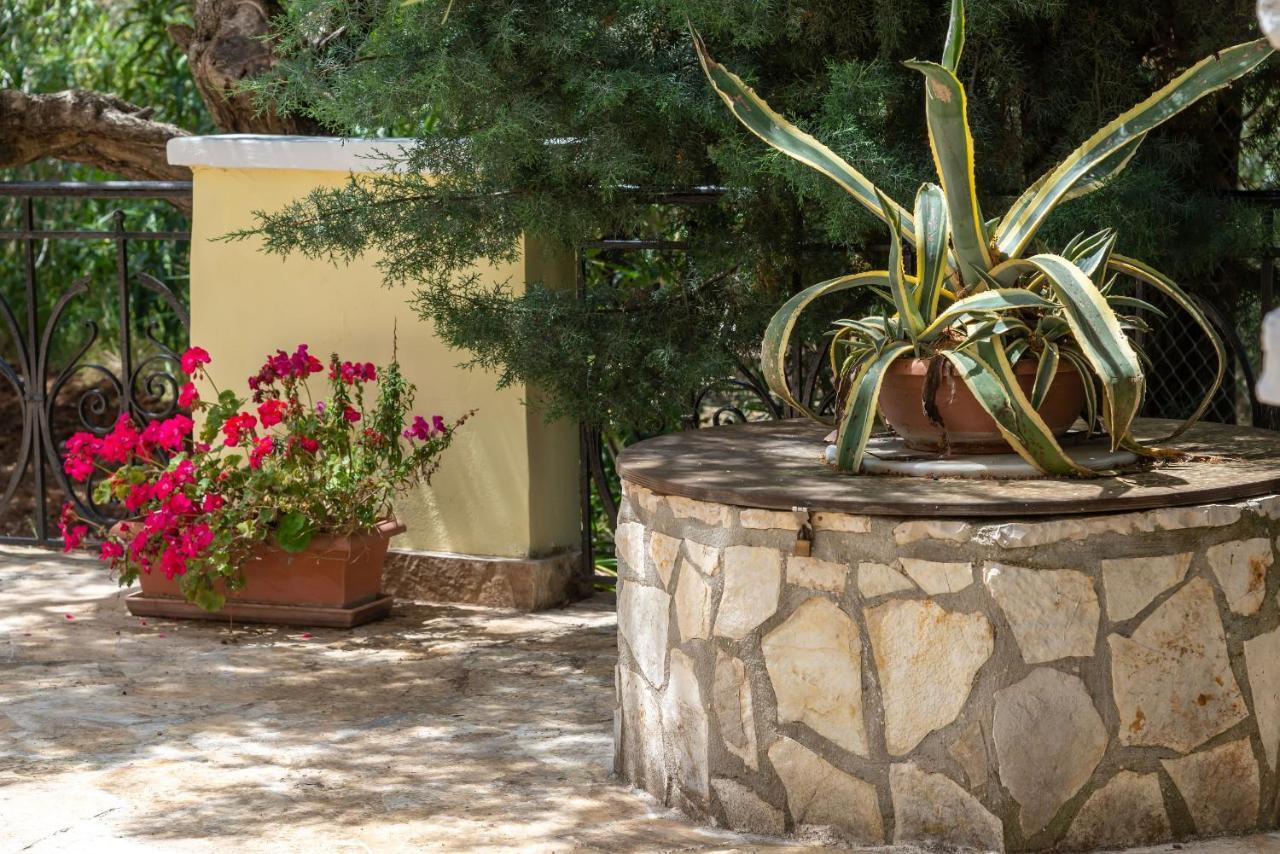 טרגקי Olivegrove Villa - Nestled In Olive Trees With Private Pool, By Zantewize מראה חיצוני תמונה