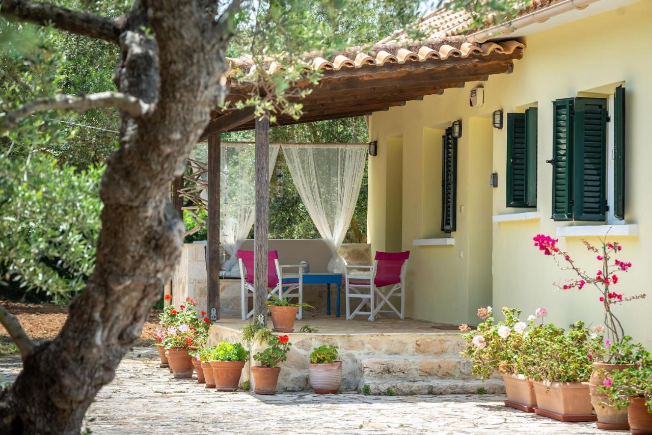 טרגקי Olivegrove Villa - Nestled In Olive Trees With Private Pool, By Zantewize מראה חיצוני תמונה